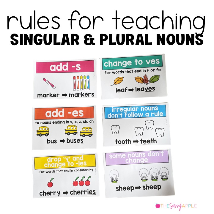 singular and plural nouns posters